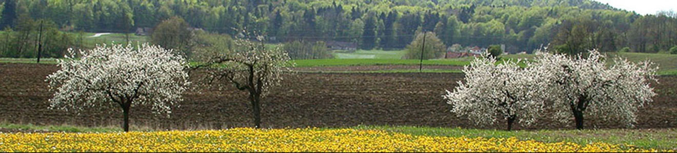 Agrarserver
© Land Steiermark